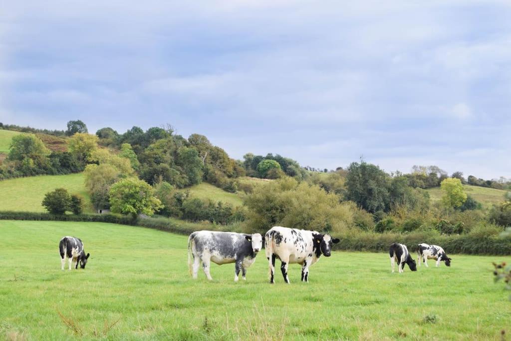 Nr Bicester Village 5 Star Luxury On Farm Piddington Esterno foto